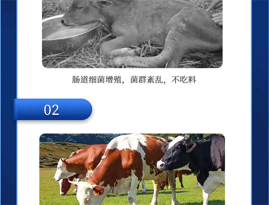 esball世博官网动保饲料添加剂排毒增免肽产品介绍
