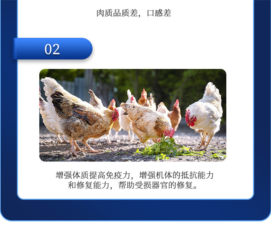 esball世博官网动保饲料添加剂排毒增免肽产品介绍