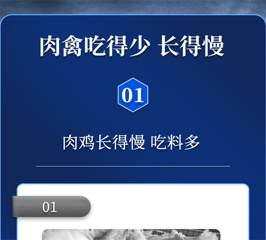 esball世博官网动保禽饲料添加剂禽肽重产品介绍