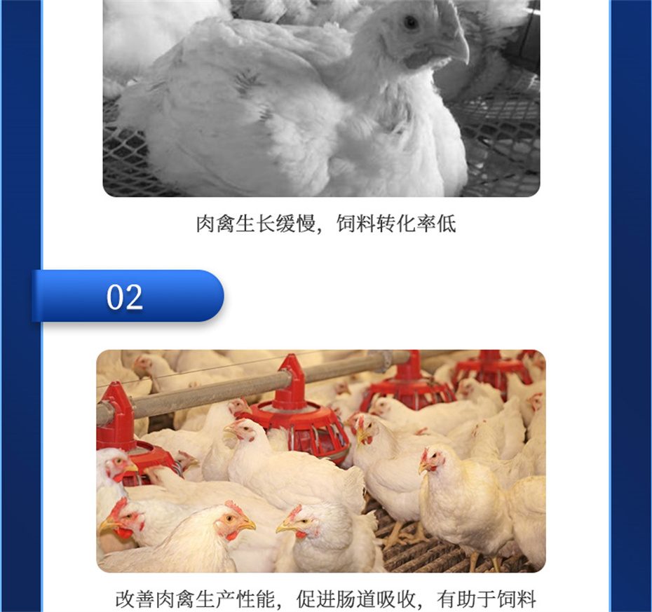 esball世博官网动保禽饲料添加剂禽肽重产品介绍