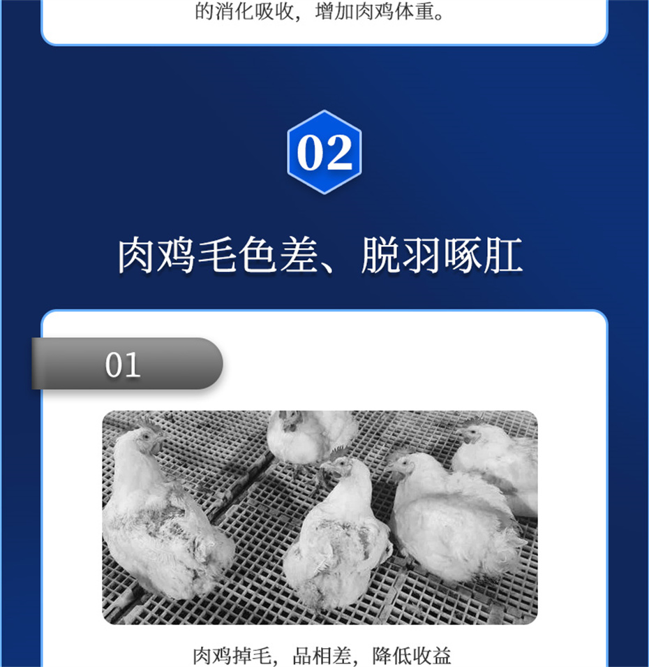 esball世博官网动保禽饲料添加剂禽肽重产品介绍