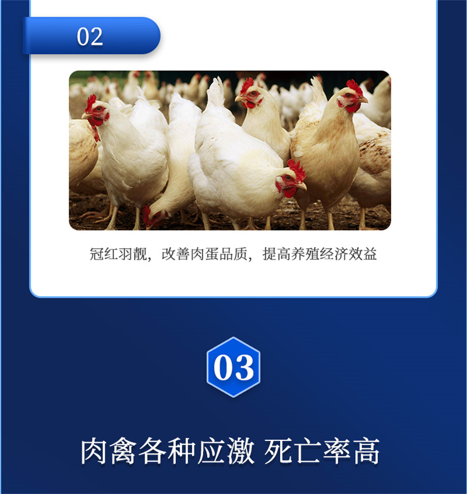 esball世博官网动保禽饲料添加剂禽肽重产品介绍