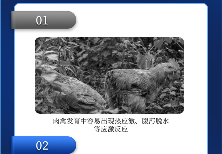 esball世博官网动保禽饲料添加剂禽肽重产品介绍