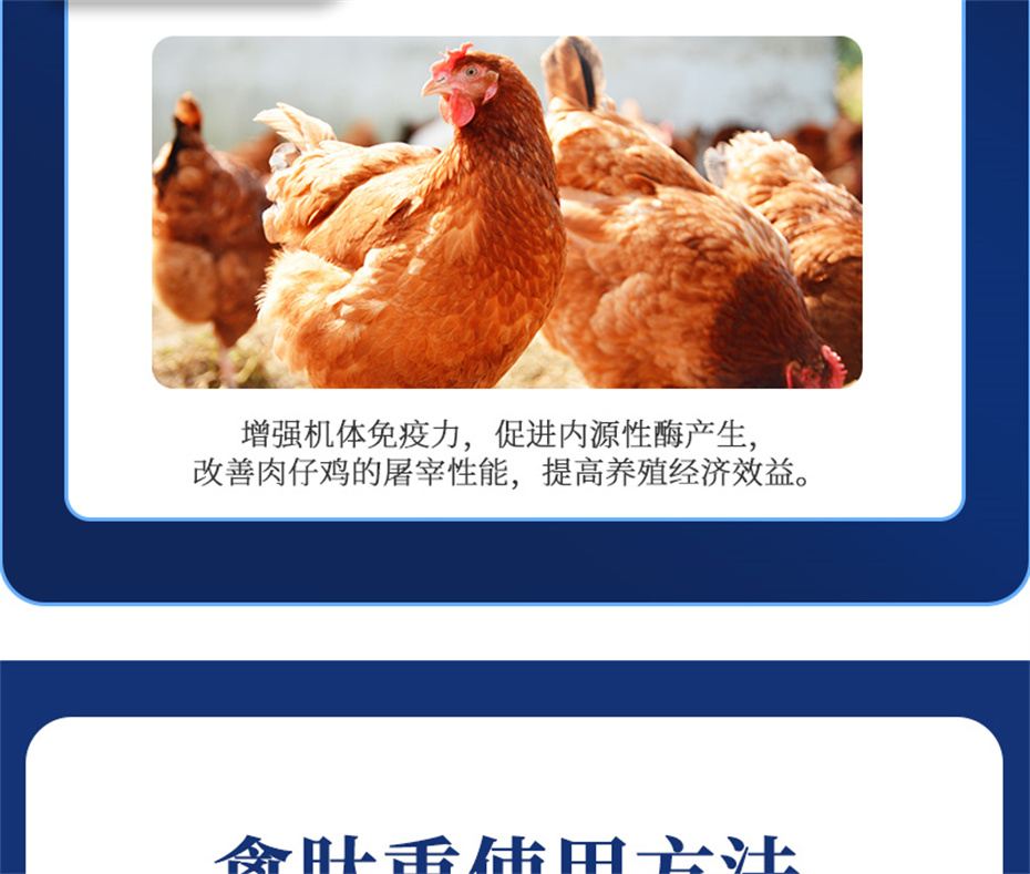 esball世博官网动保禽饲料添加剂禽肽重产品介绍