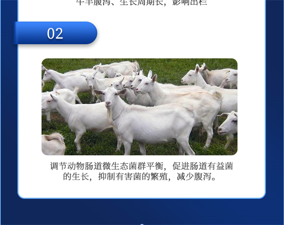 esball世博官网动保牛羊饲料添加剂胃兴plus产品介绍