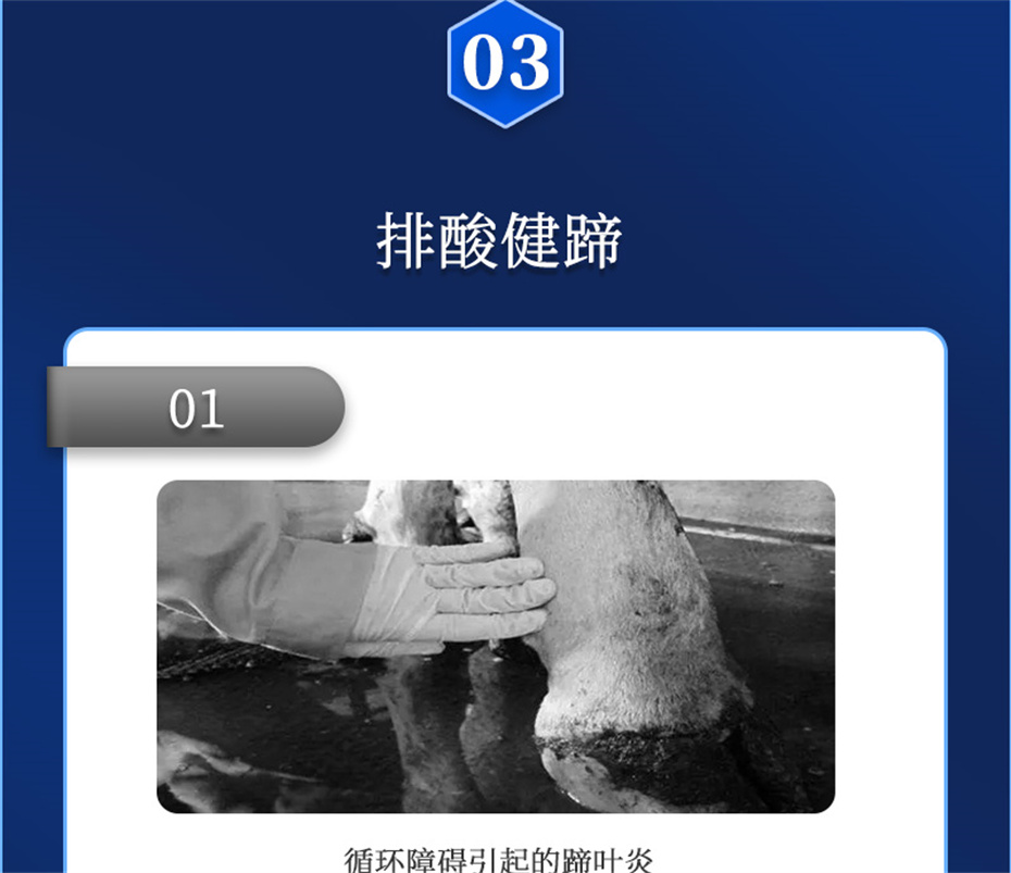 esball世博官网动保牛羊饲料添加剂胃兴plus产品介绍