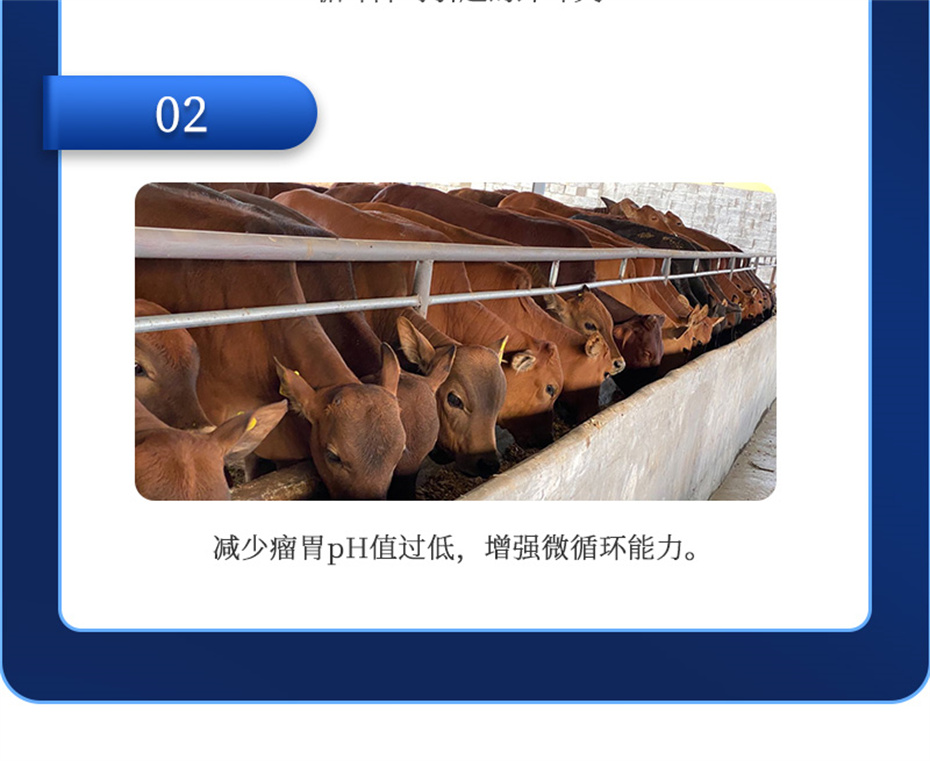 esball世博官网动保牛羊饲料添加剂胃兴plus产品介绍