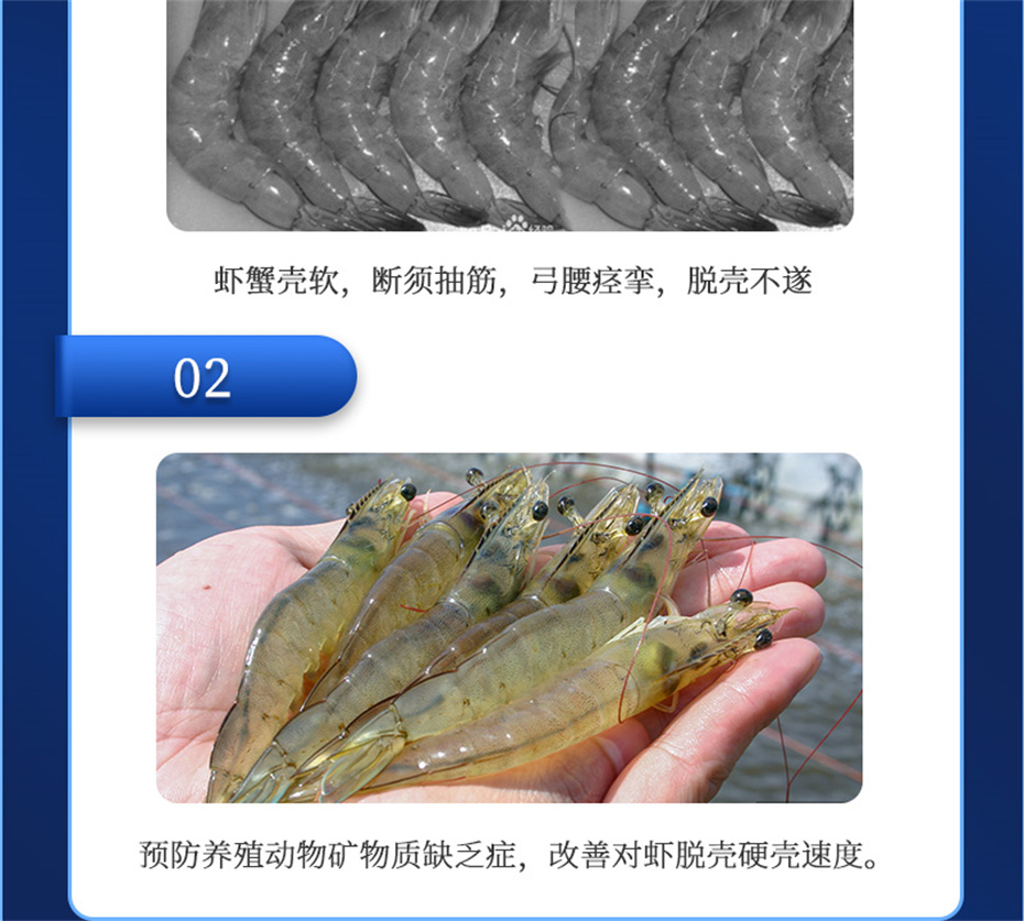 esball世博官网动保水产饲料添加剂速补微s+产品介绍