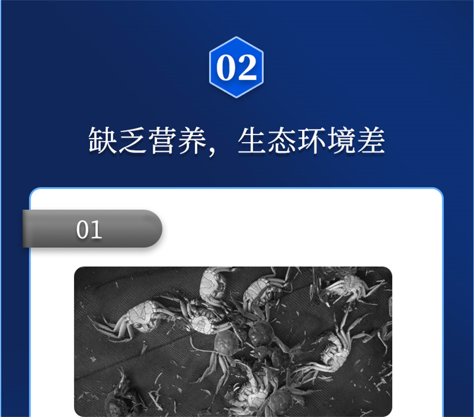 esball世博官网动保水产饲料添加剂速补微s+产品介绍