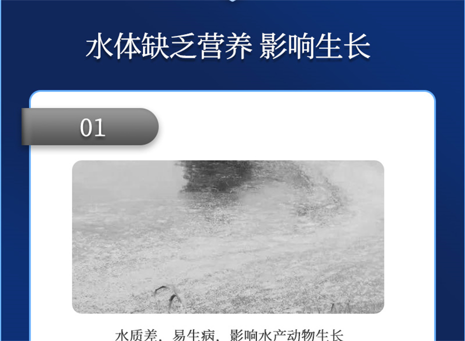 esball世博官网动保水产饲料添加剂速补微s+产品介绍