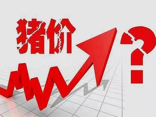 esball世博官网