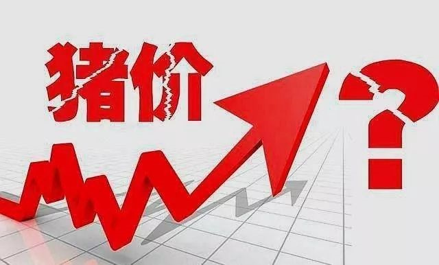 esball世博官网